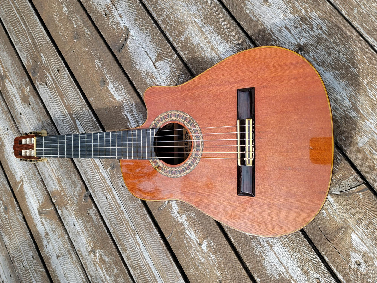 Alto Sumio Kurosawa 10 Concierto Guitar