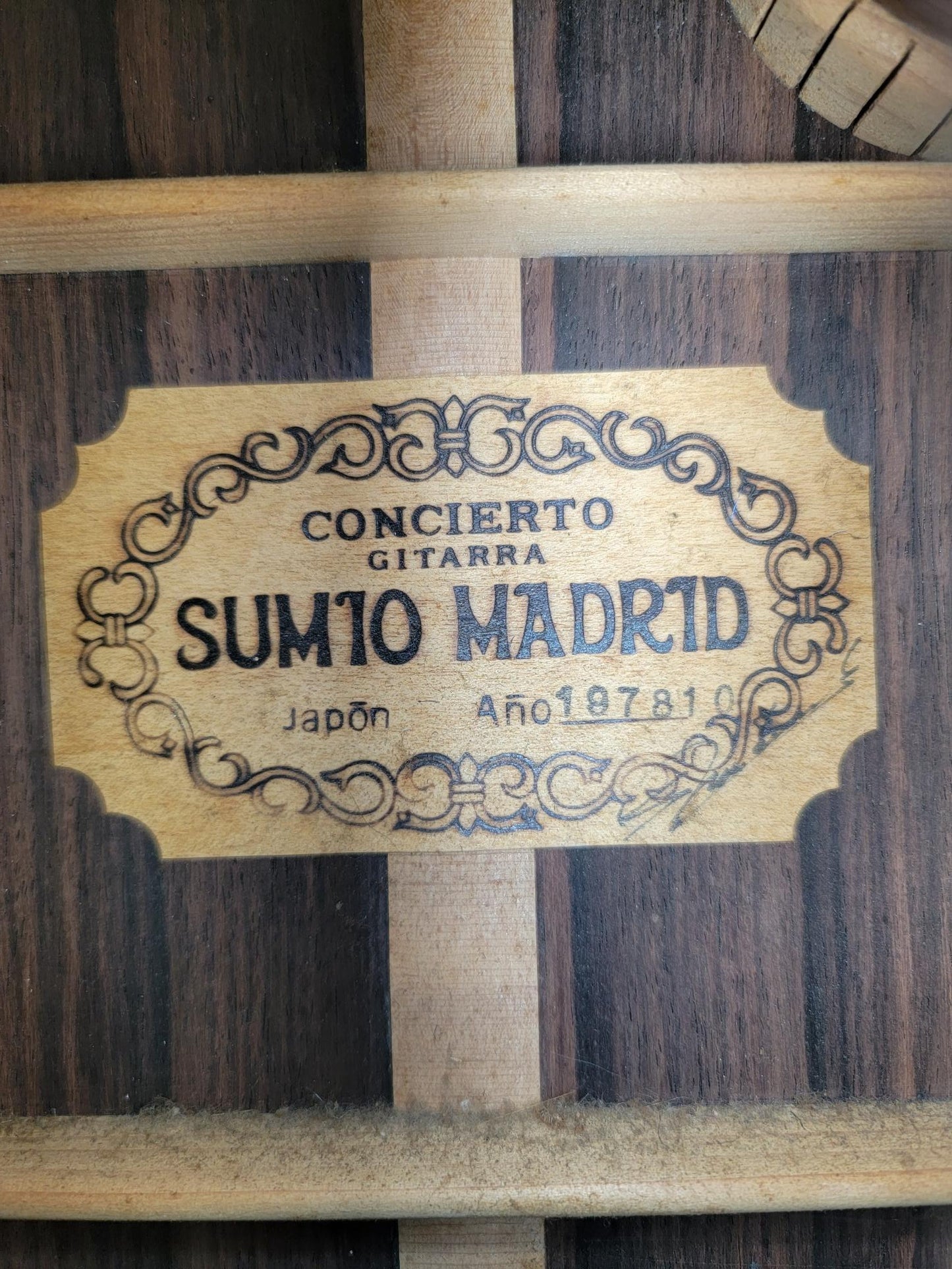 Alto Sumio Kurosawa 10 Concierto Guitar