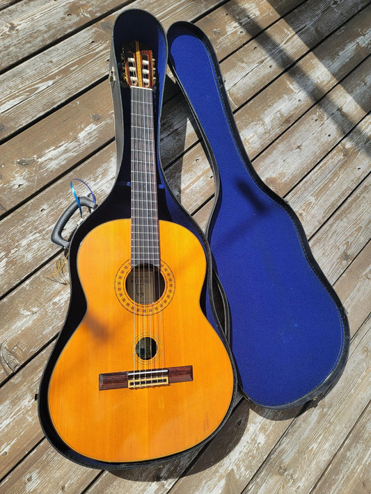 Grand Guitar WSG50