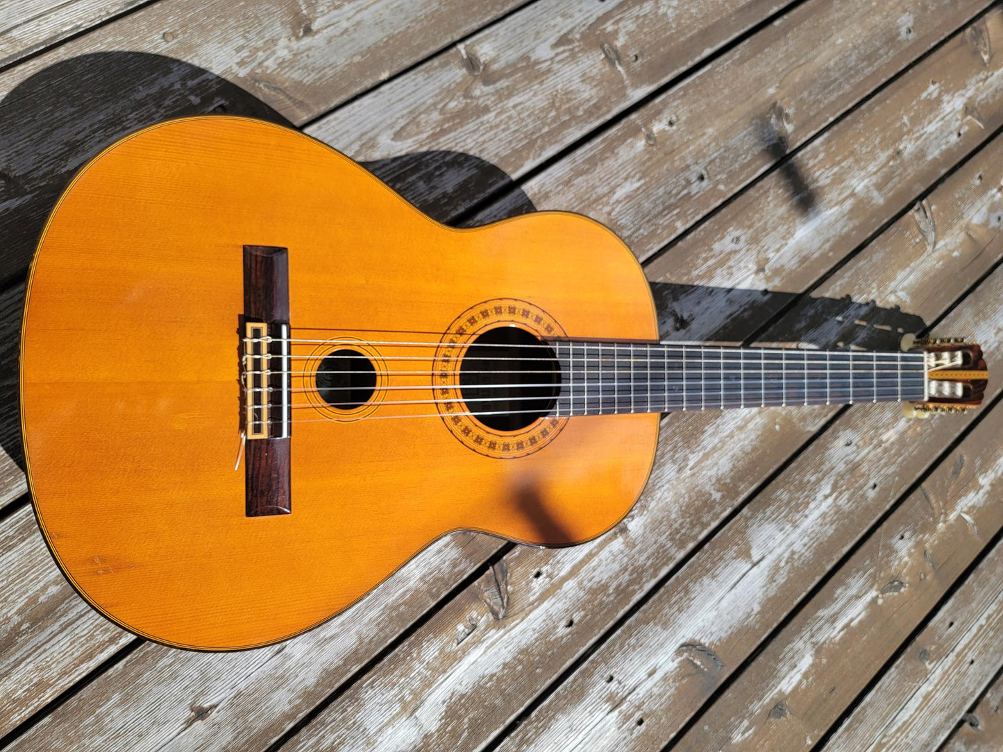 Grand Guitar WSG50