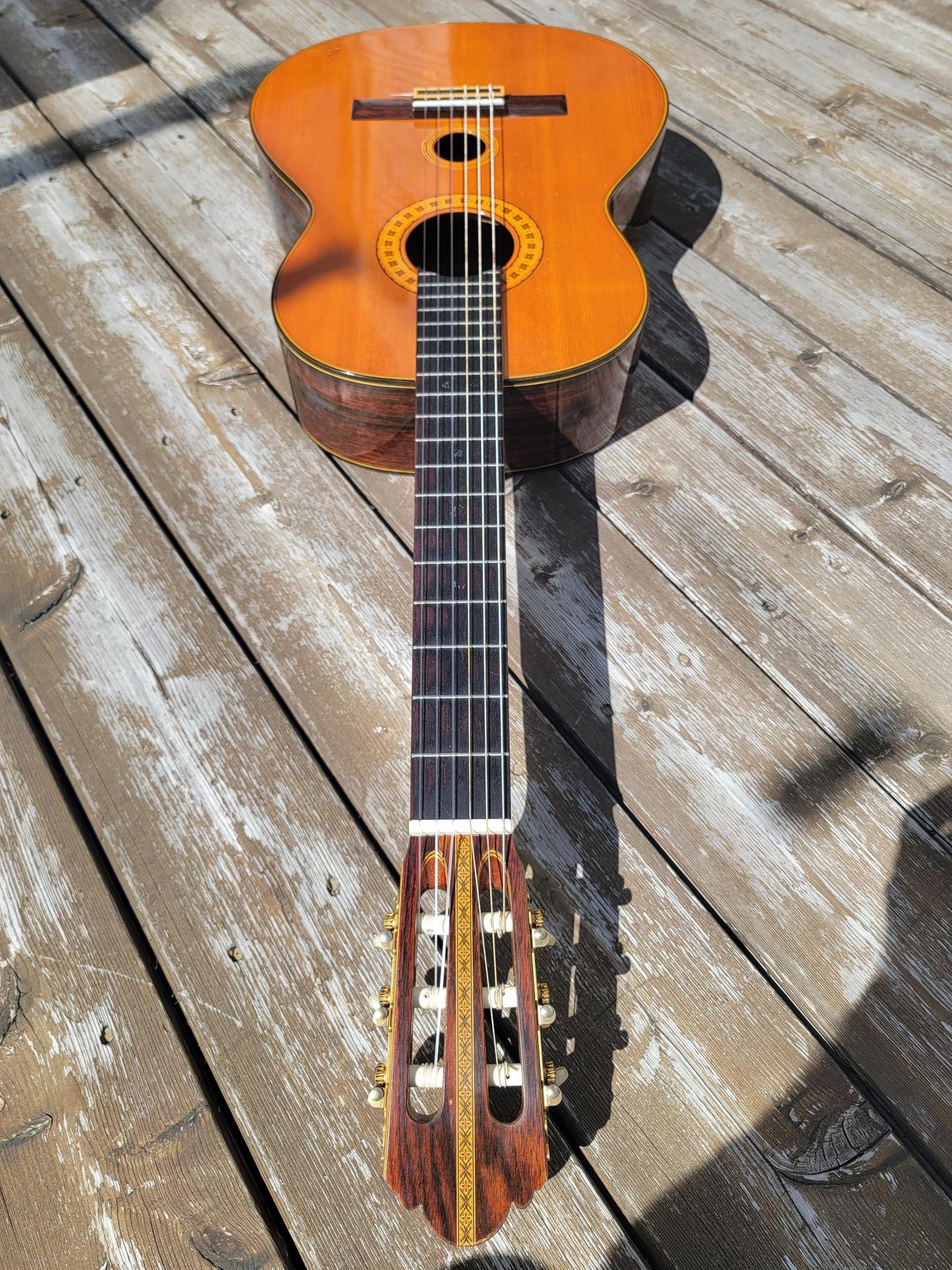 Grand Guitar WSG50