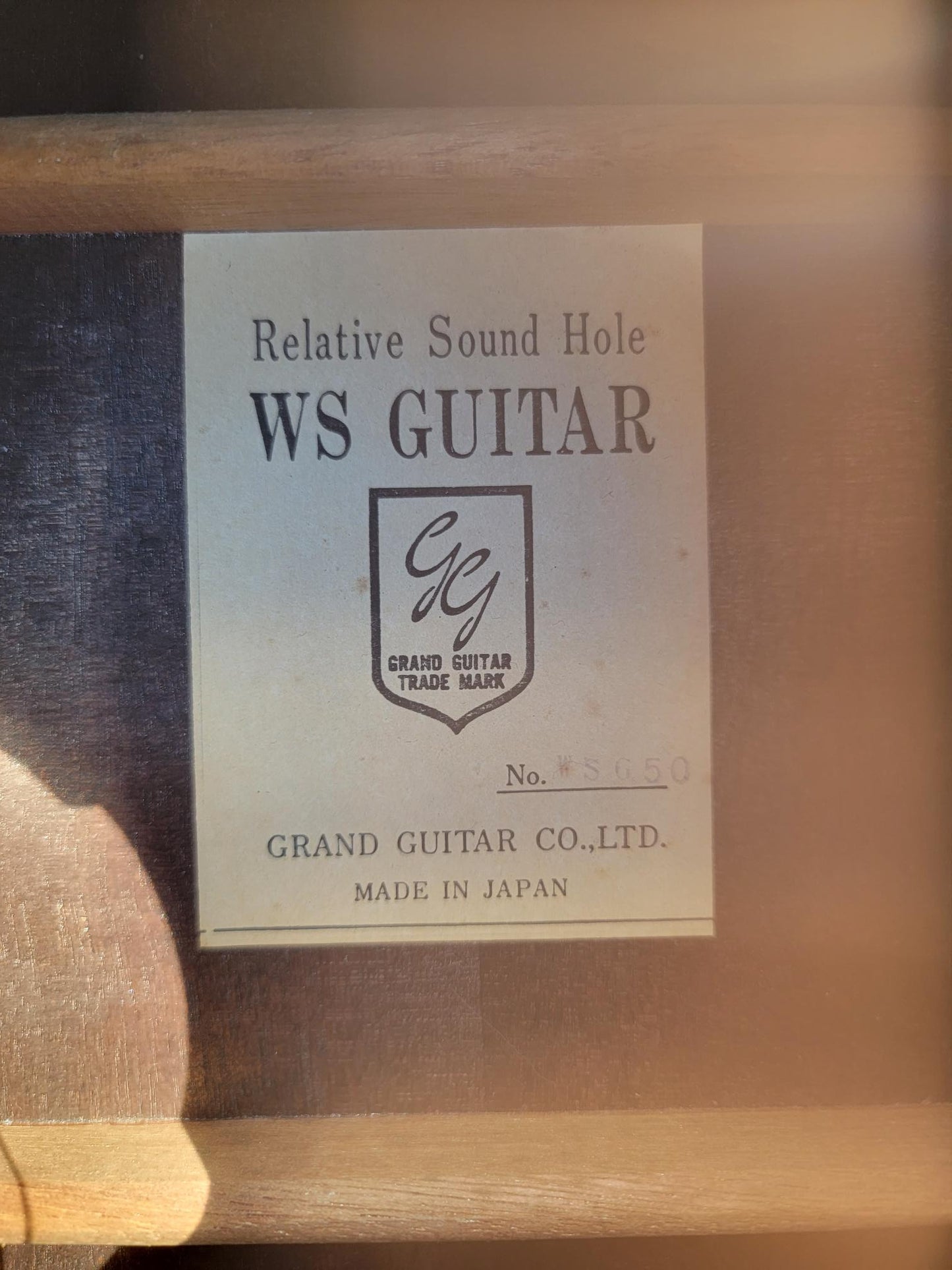 Grand Guitar WSG50
