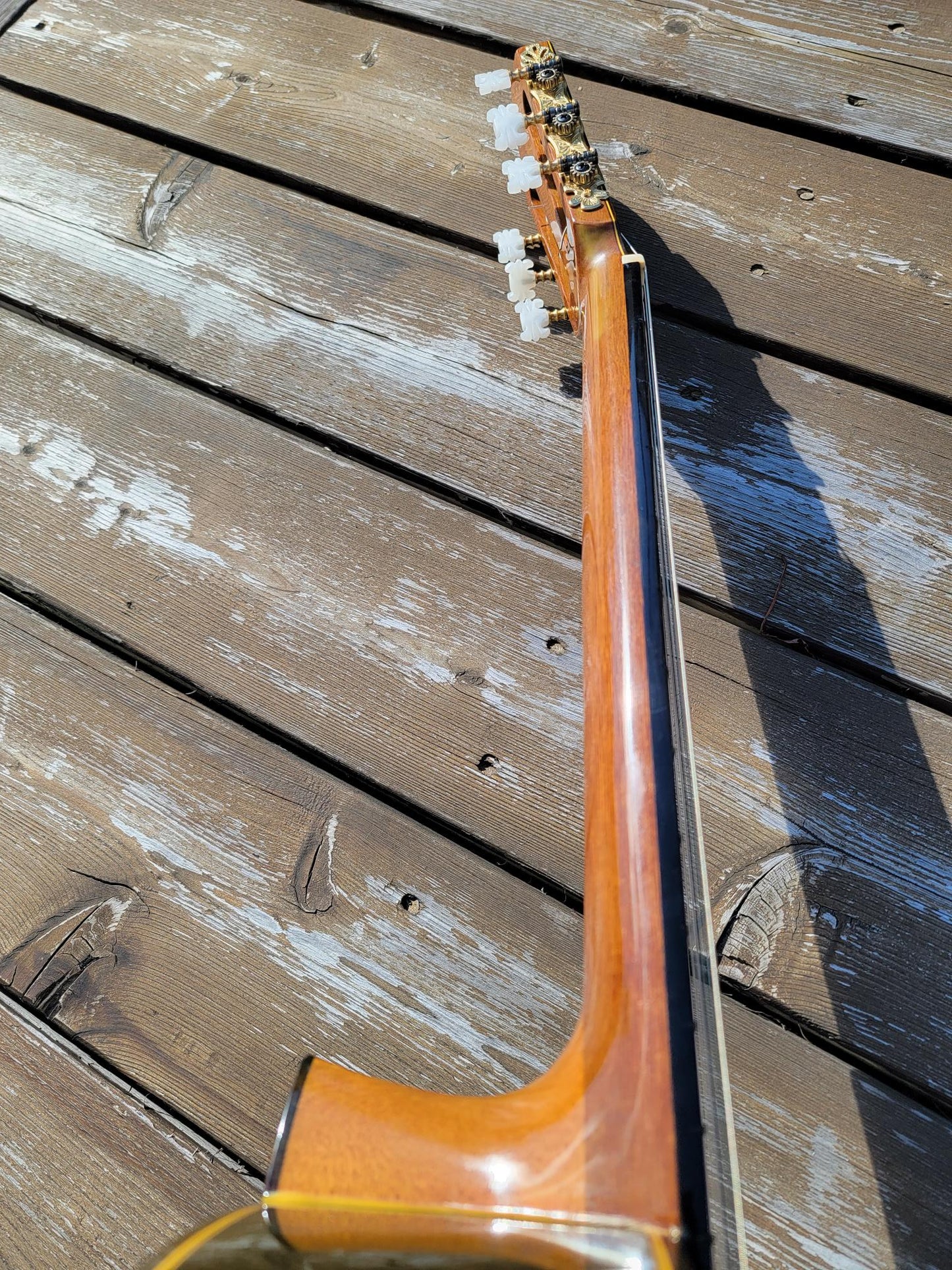 Shinano SC-30 Concert Guitar