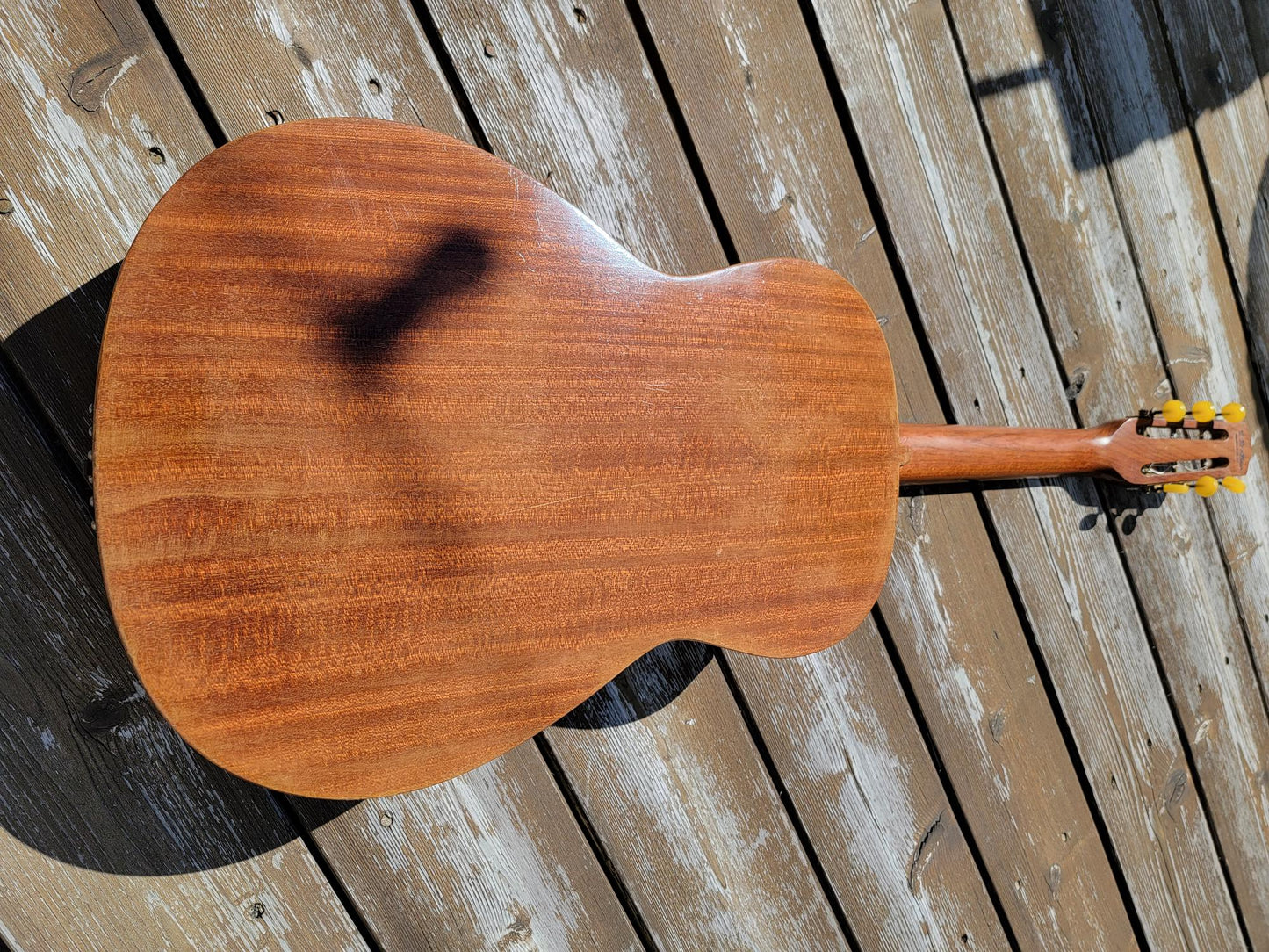 Antoine Di Mauro Gypsy Jazz parlor