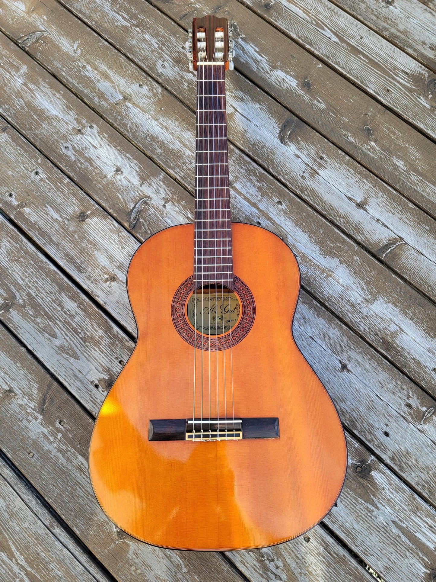 Yasuo Abe Gut Guitar 65C by Zenon